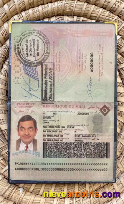 Mali passport photolook